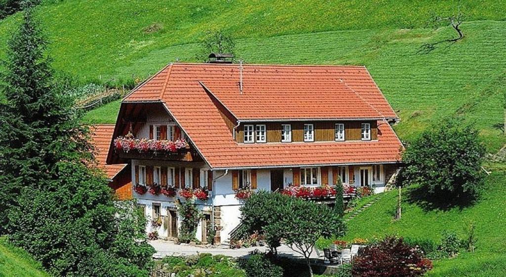 Ferienwohnung Schembachhof Bad Rippoldsau-Schapbach Exterior foto